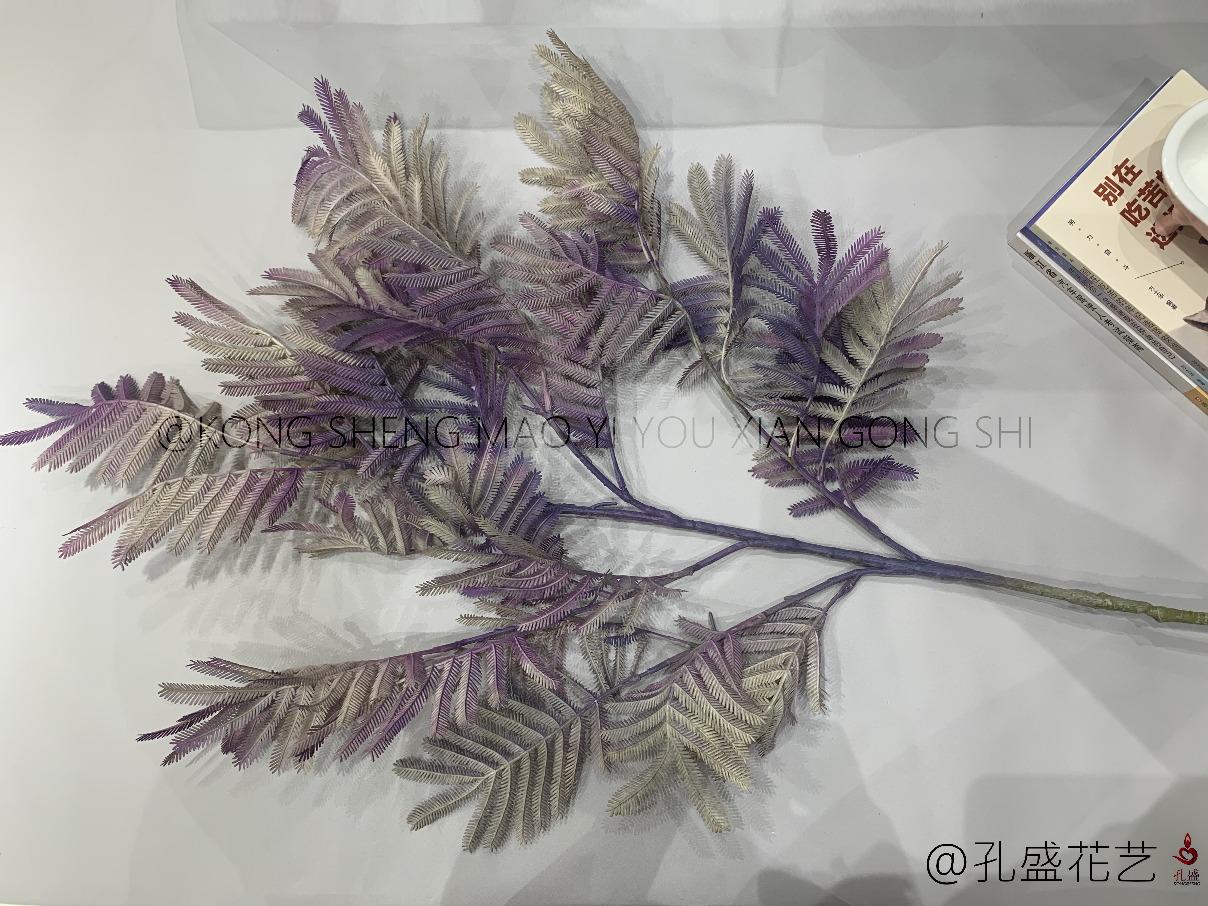 Big Bauhinia leaf detail image 10