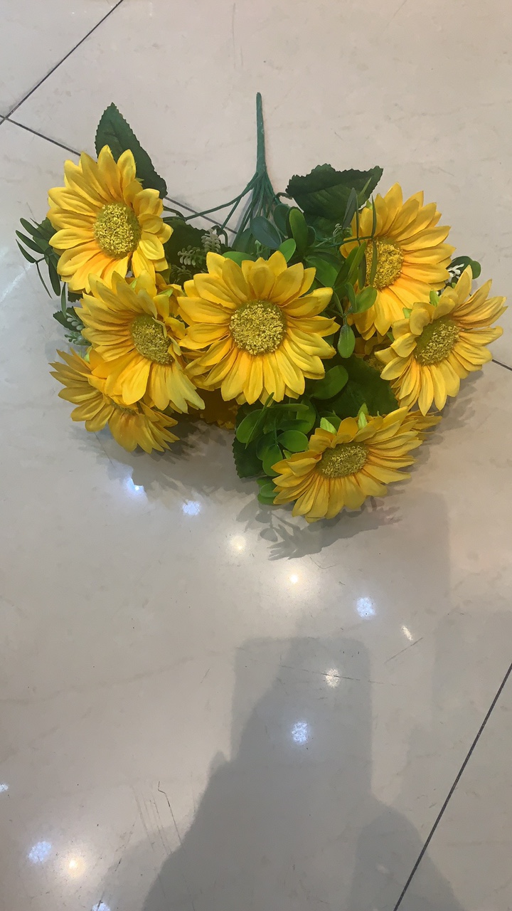 12头向日葵花