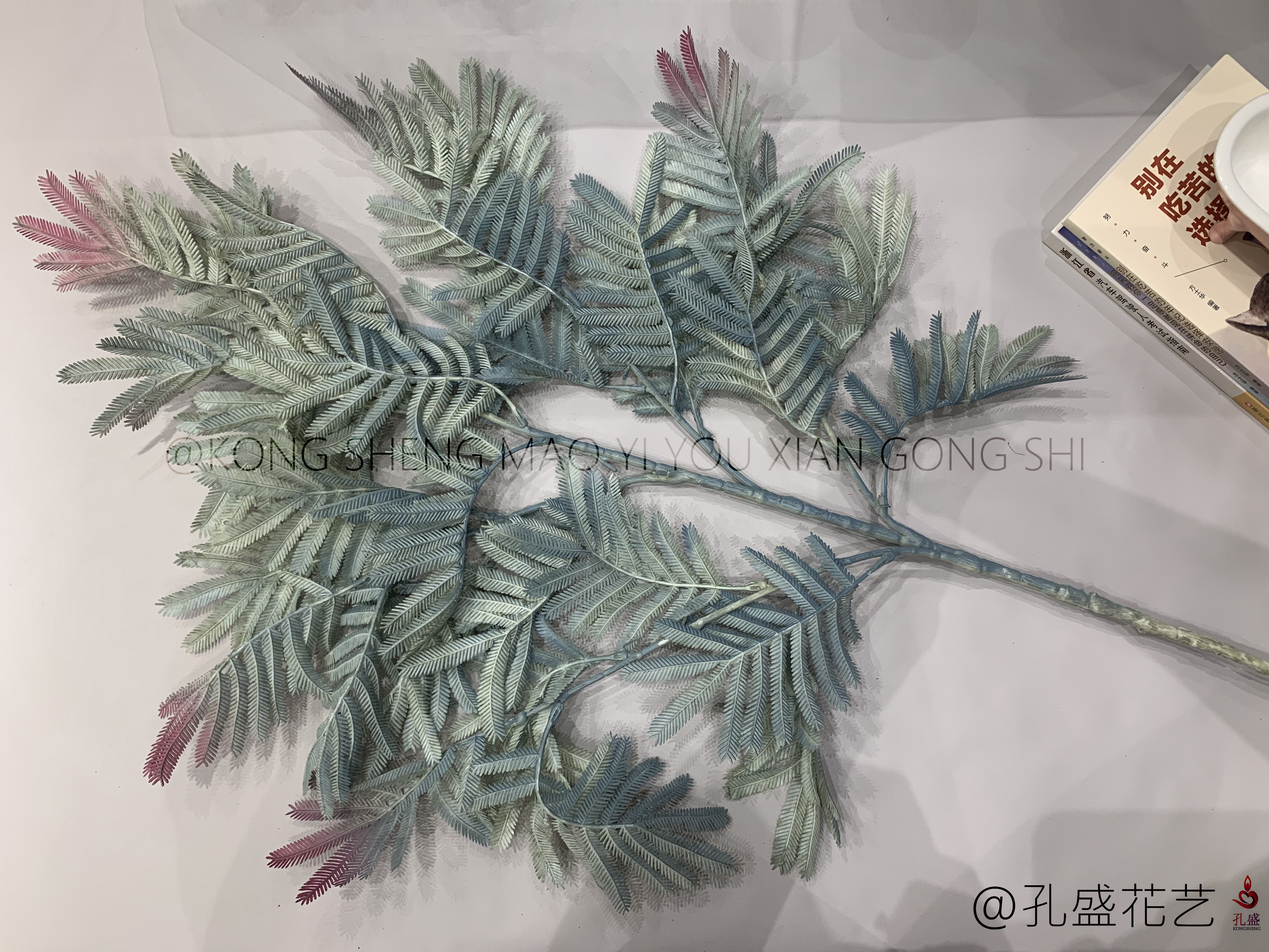 Big Bauhinia leaf detail image 3