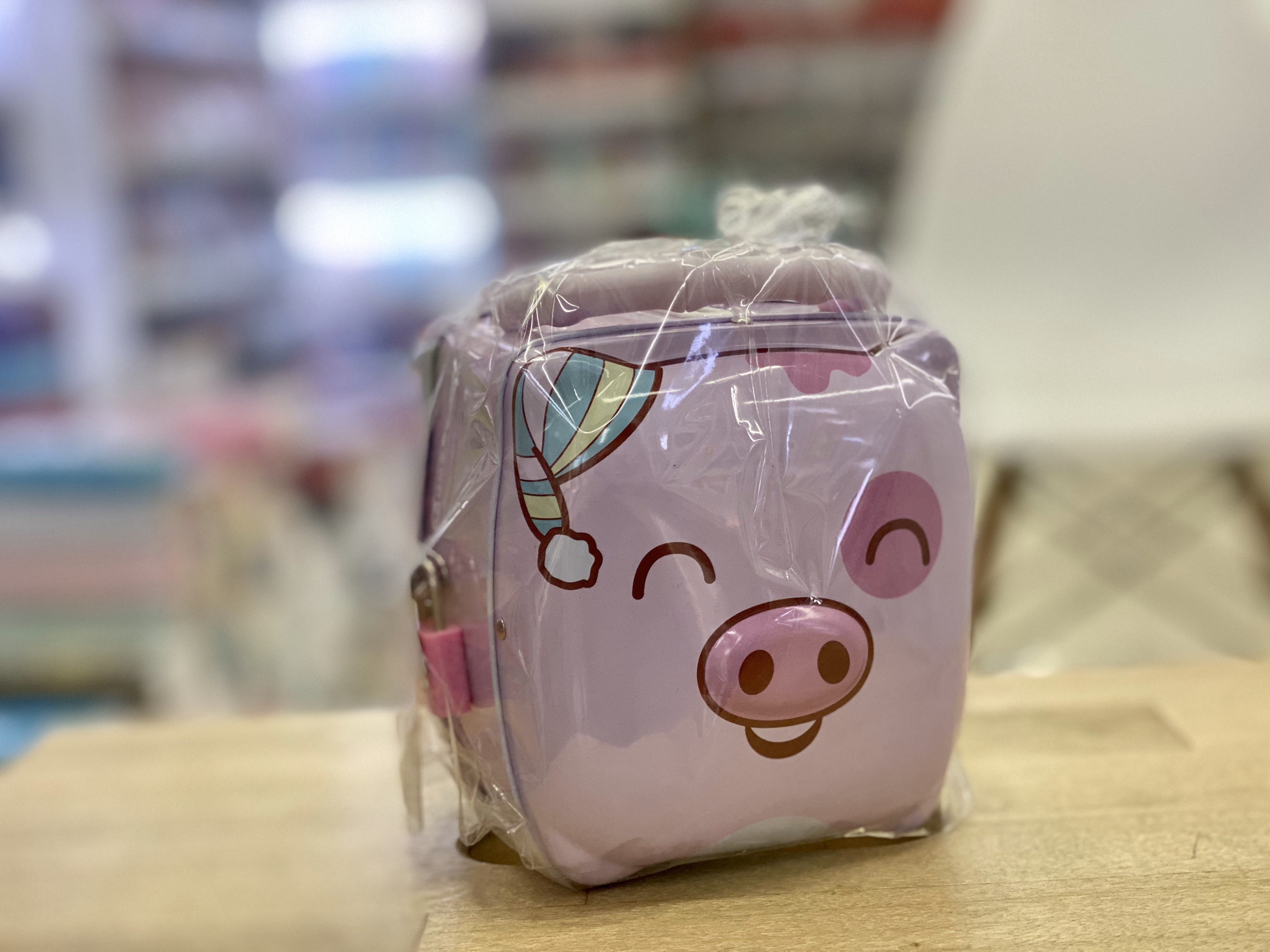 S-235 Piggy Bank Application Scenario