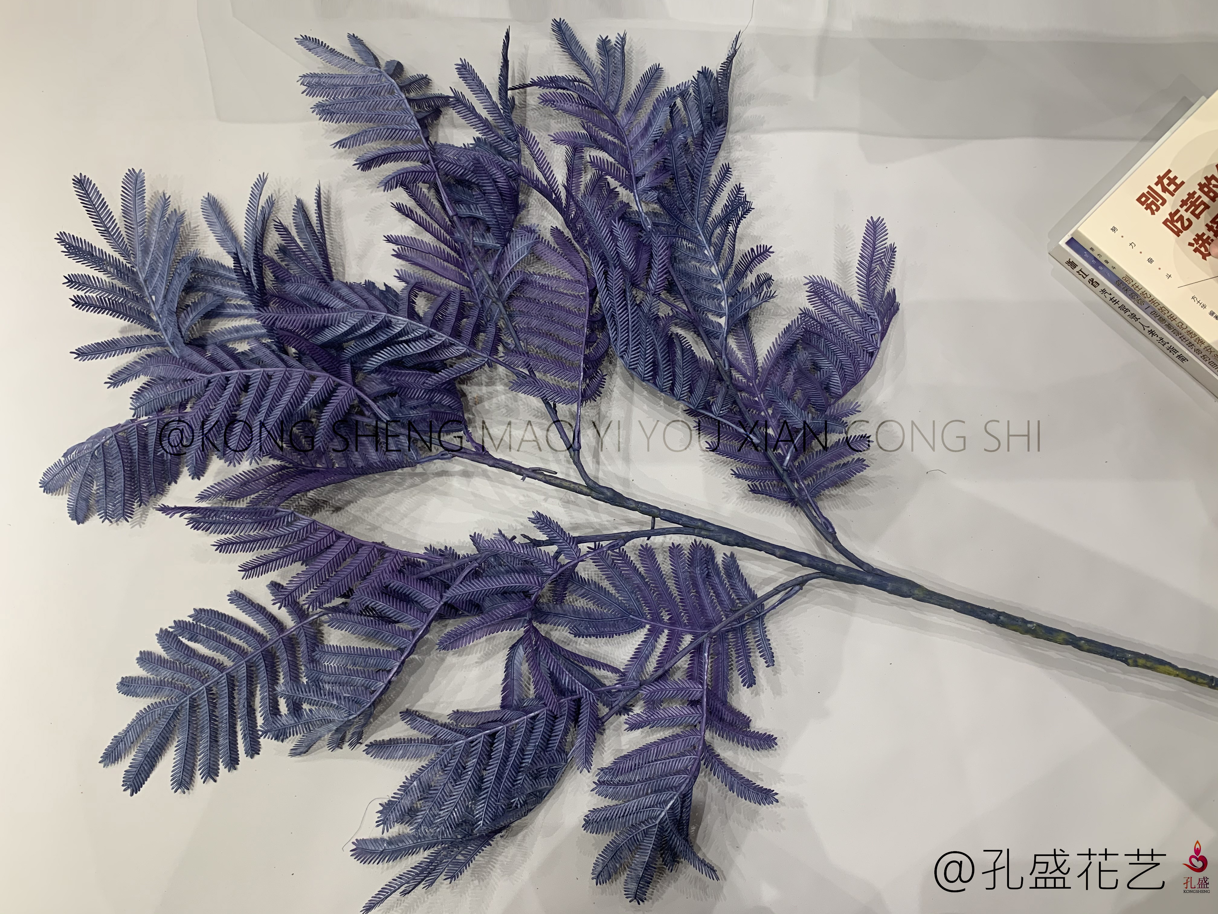 Big Bauhinia leaf detail image 5