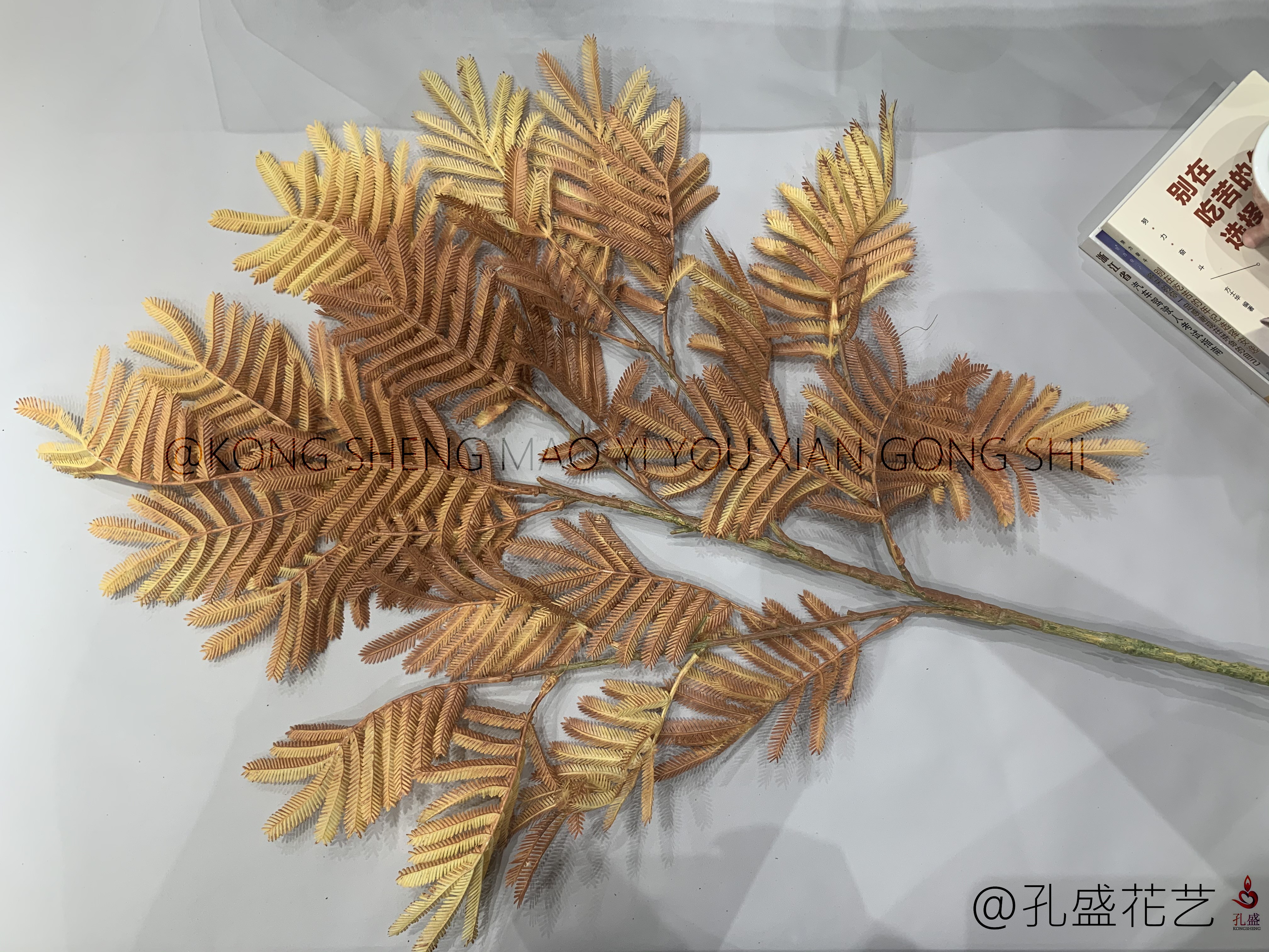 Big Bauhinia leaf detail image 4