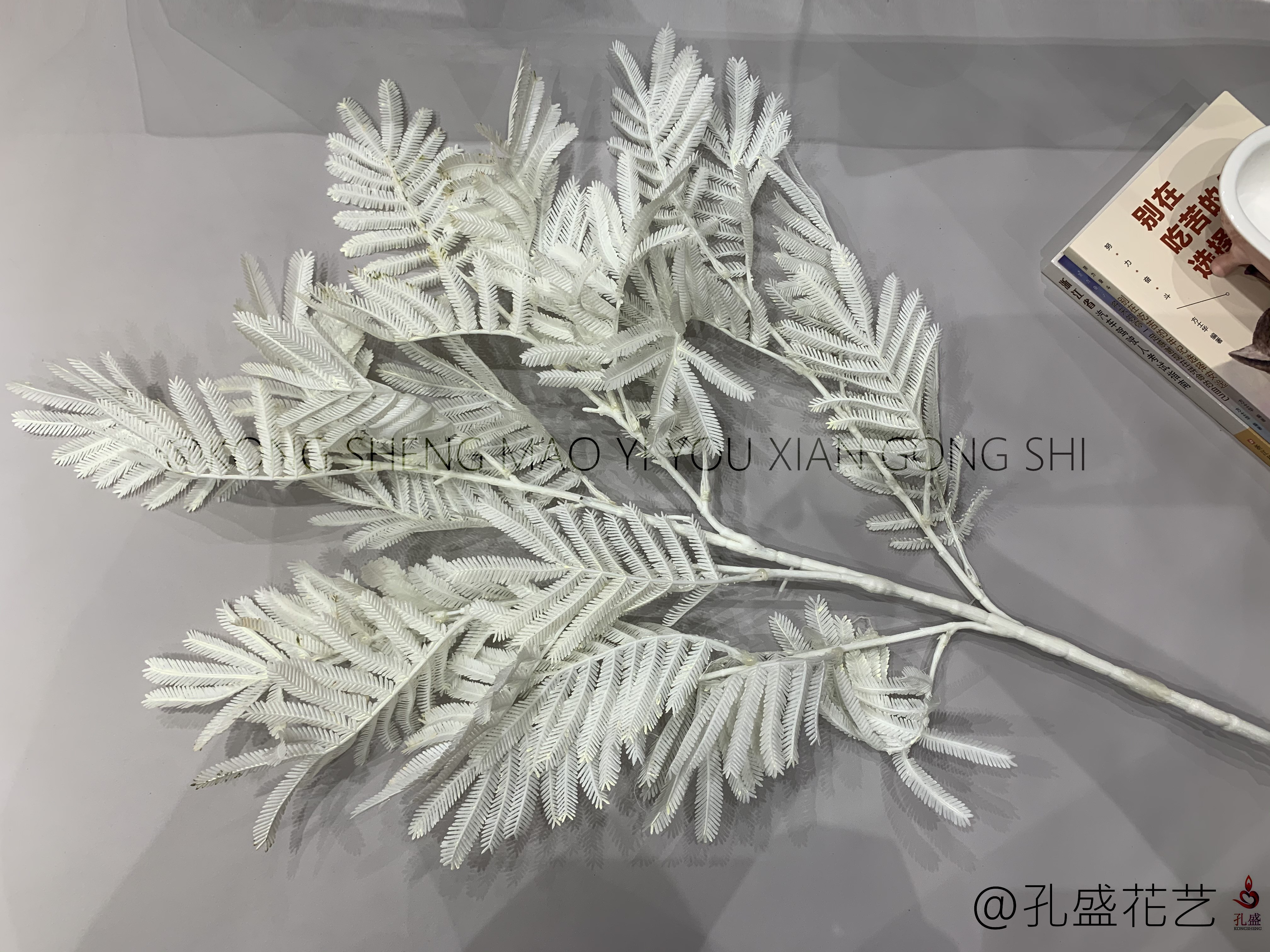 Big Bauhinia leaf detail image 8