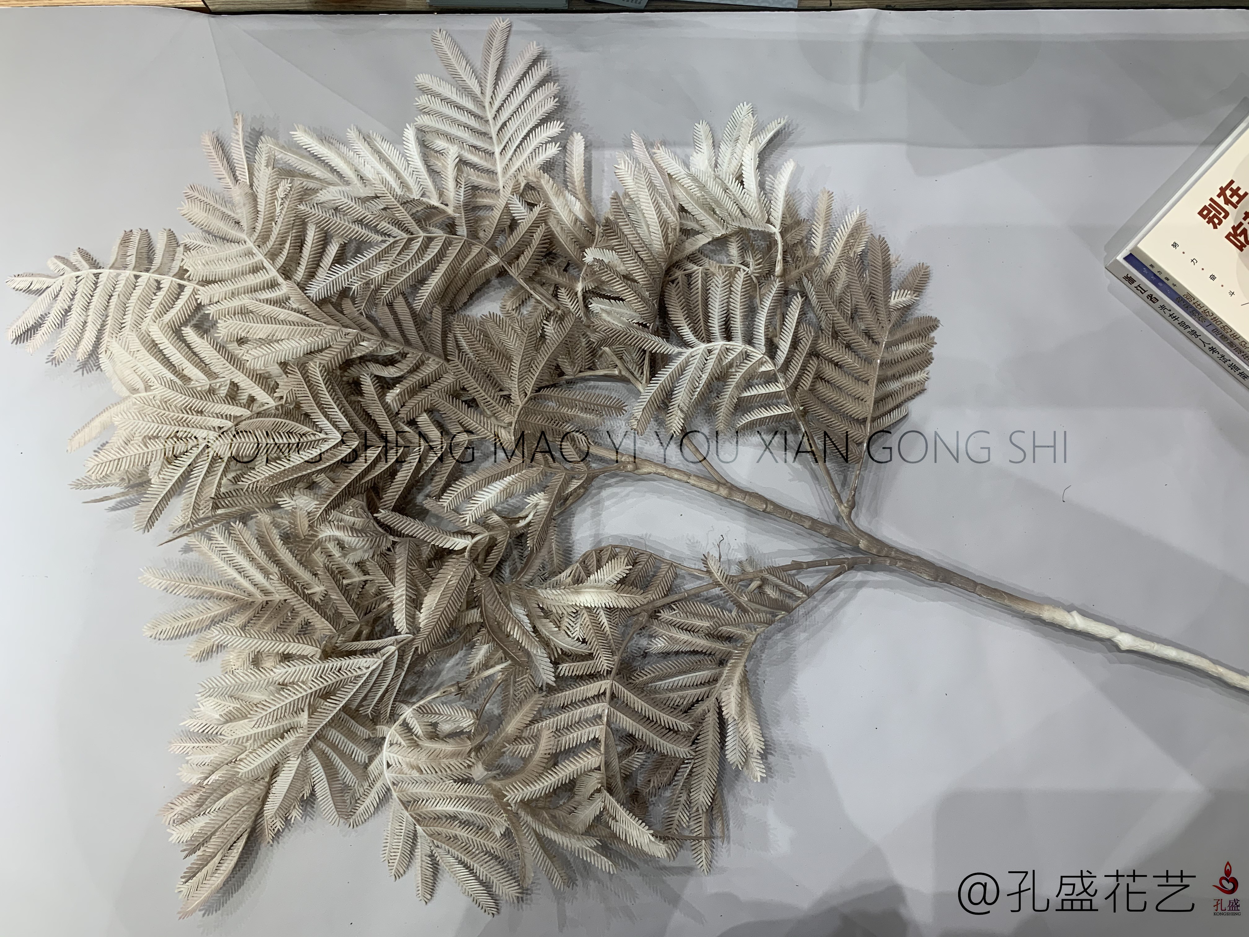 Big Bauhinia leaf detail image 1