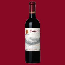 智利原瓶进口红酒 斯尔本塔 忙特里格干红葡萄酒 仅有9900瓶