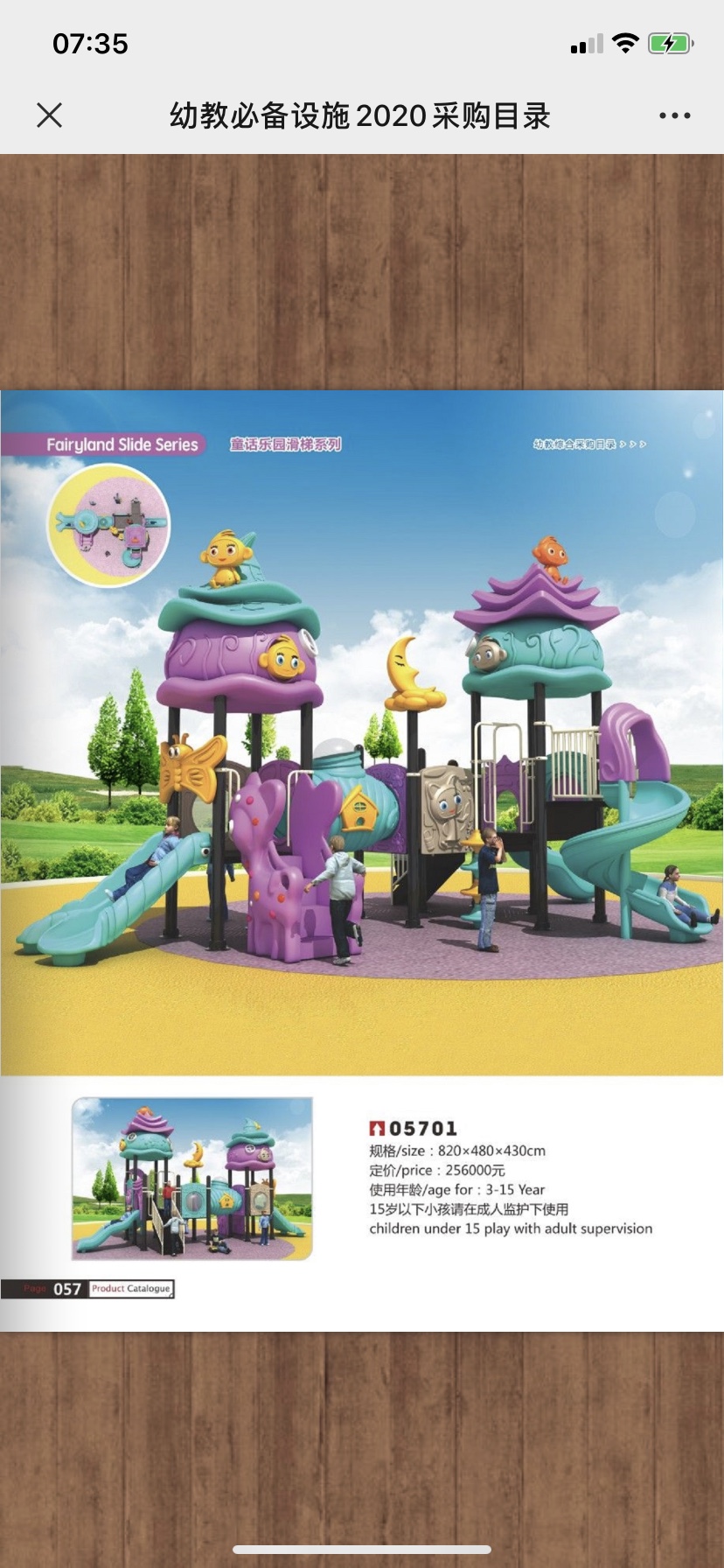 Little Doctor's Park Slide Swing details Picture