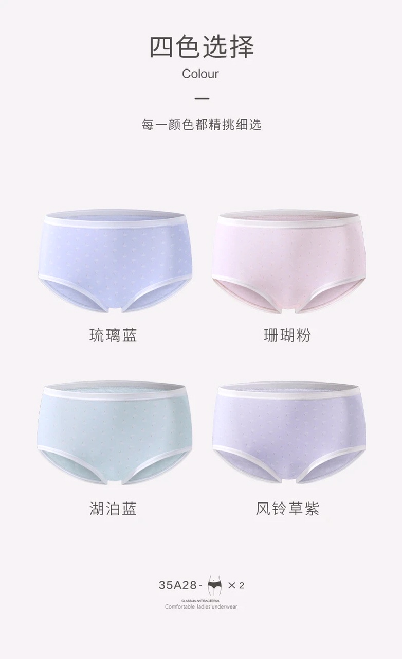 Women's underwear: Mid-waist comfortable seamless triangle pants, sexy cotton girl's bottom pants