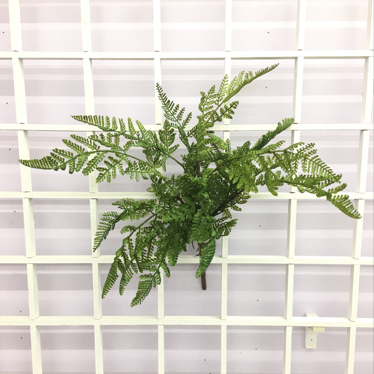 仿真绿植仿真植物摆件塑料水草仿真园艺装饰品003