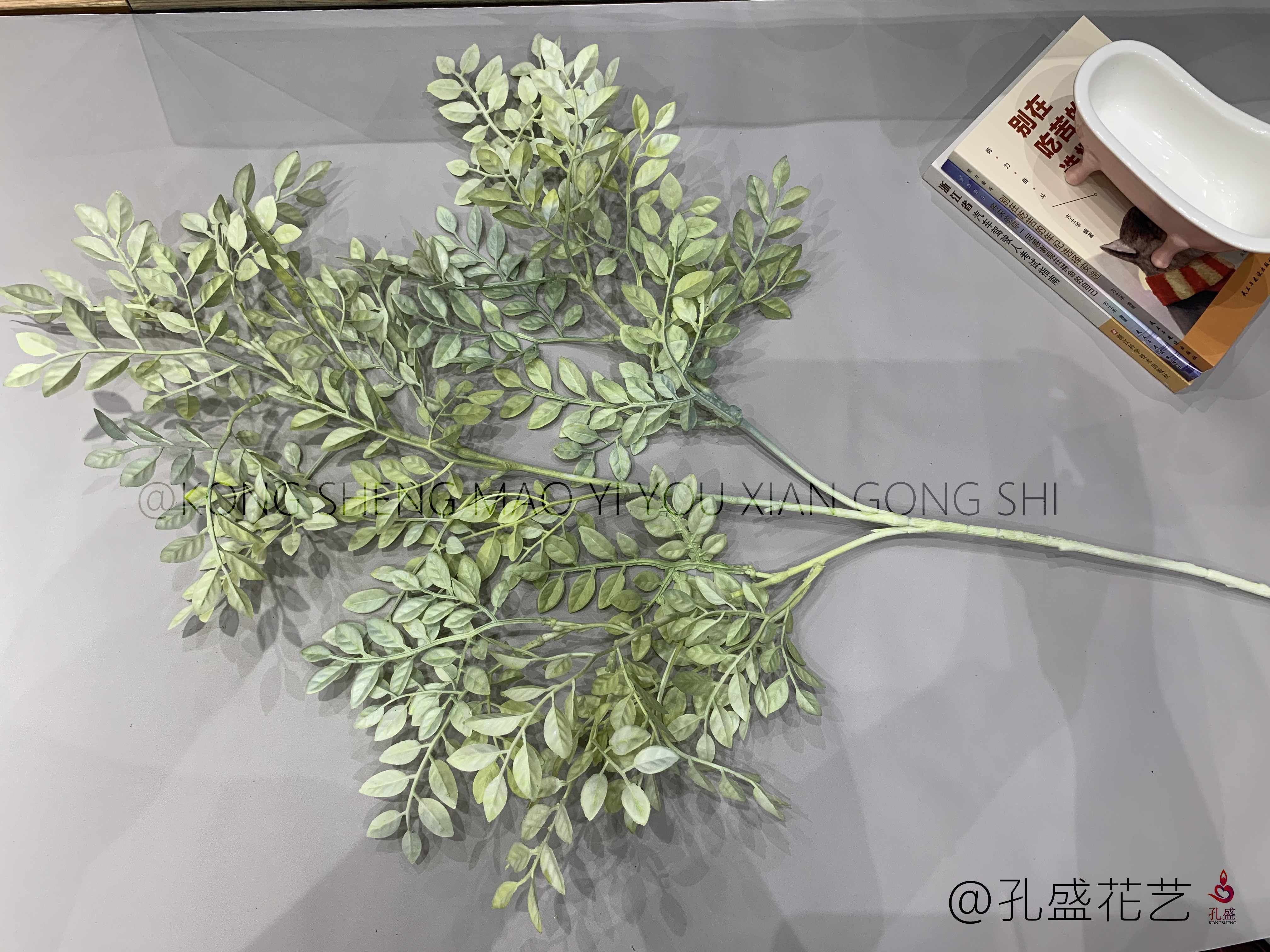 Zi Qi detail image 5