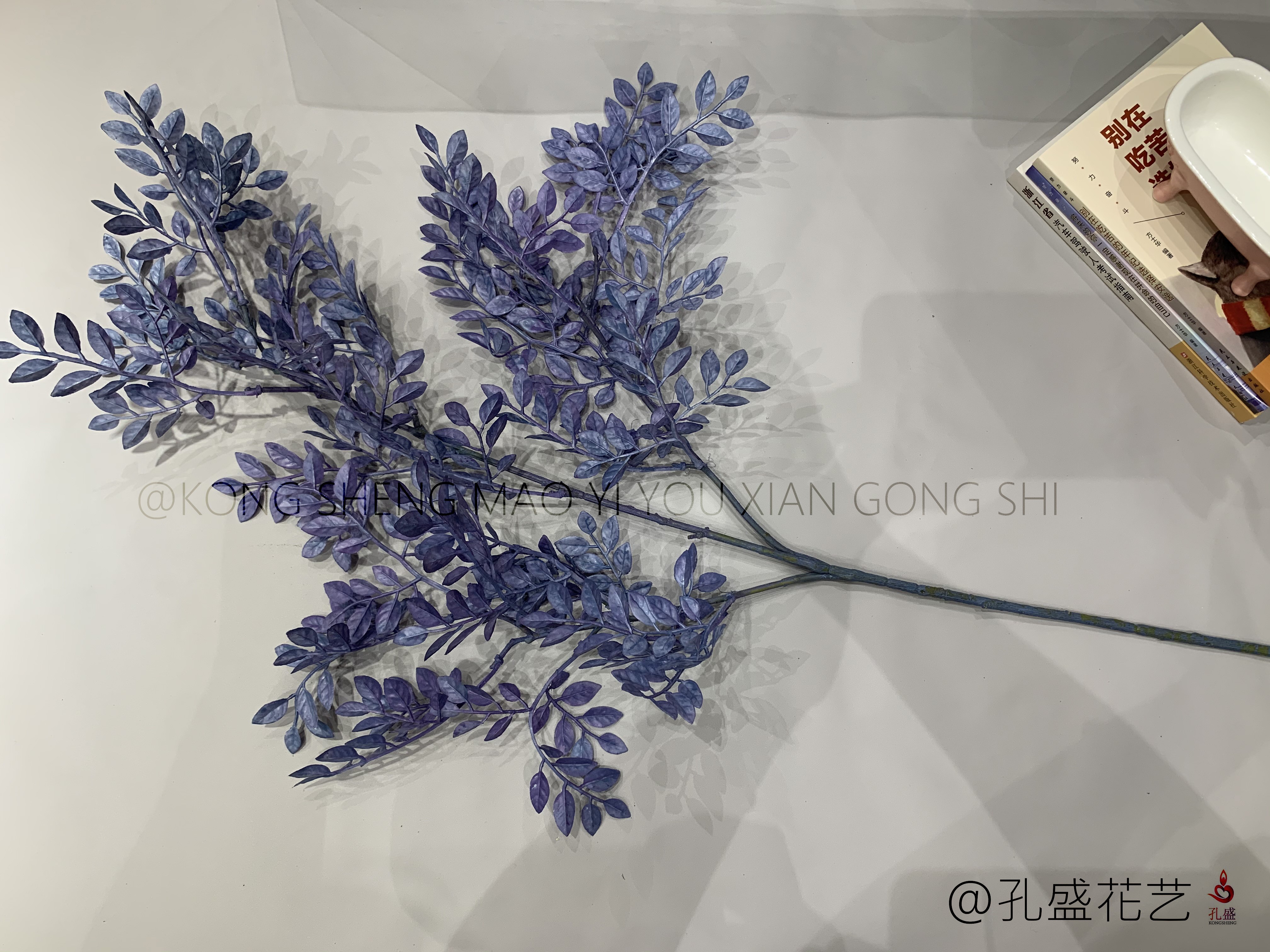 Zi Qi detail image 8