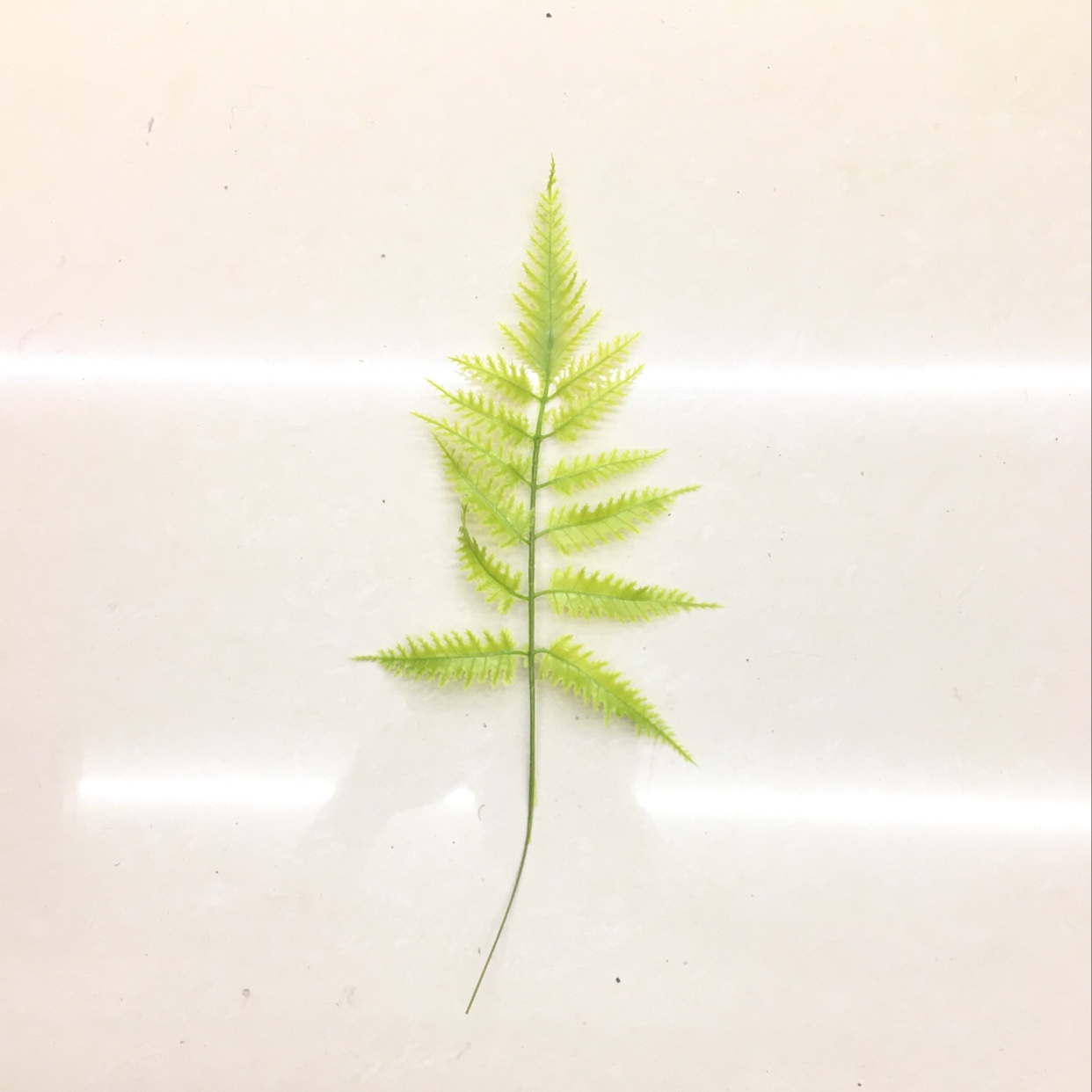 Artificial green plants, artificial plant ornaments, plastic aquatic plants, artificial garden decorations 999 details Picture