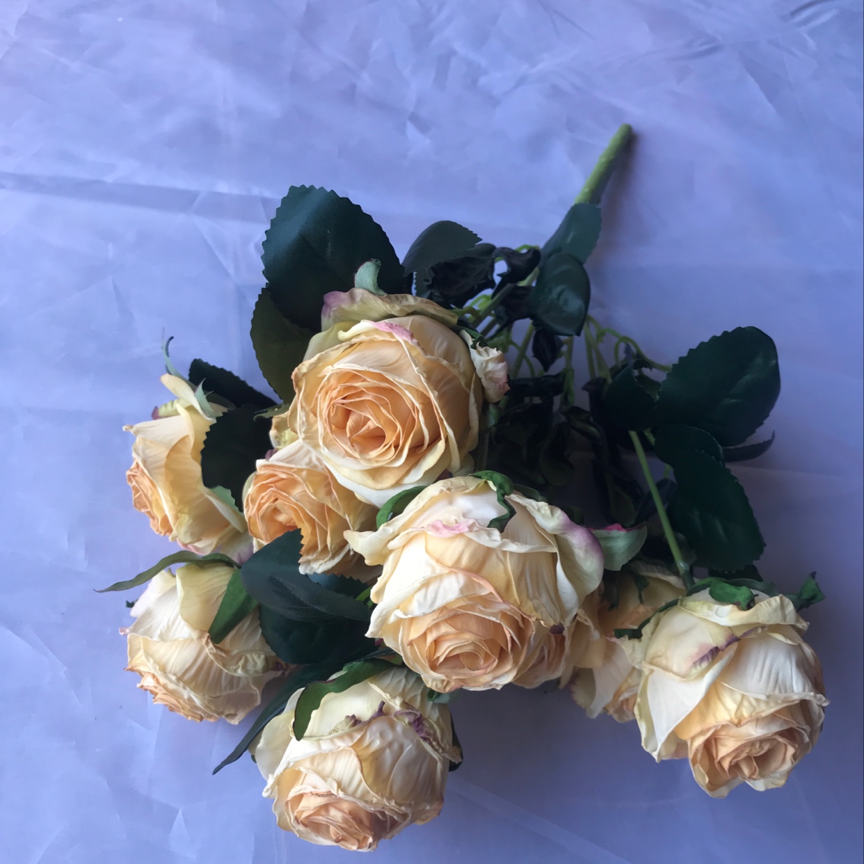 Ten stem roses