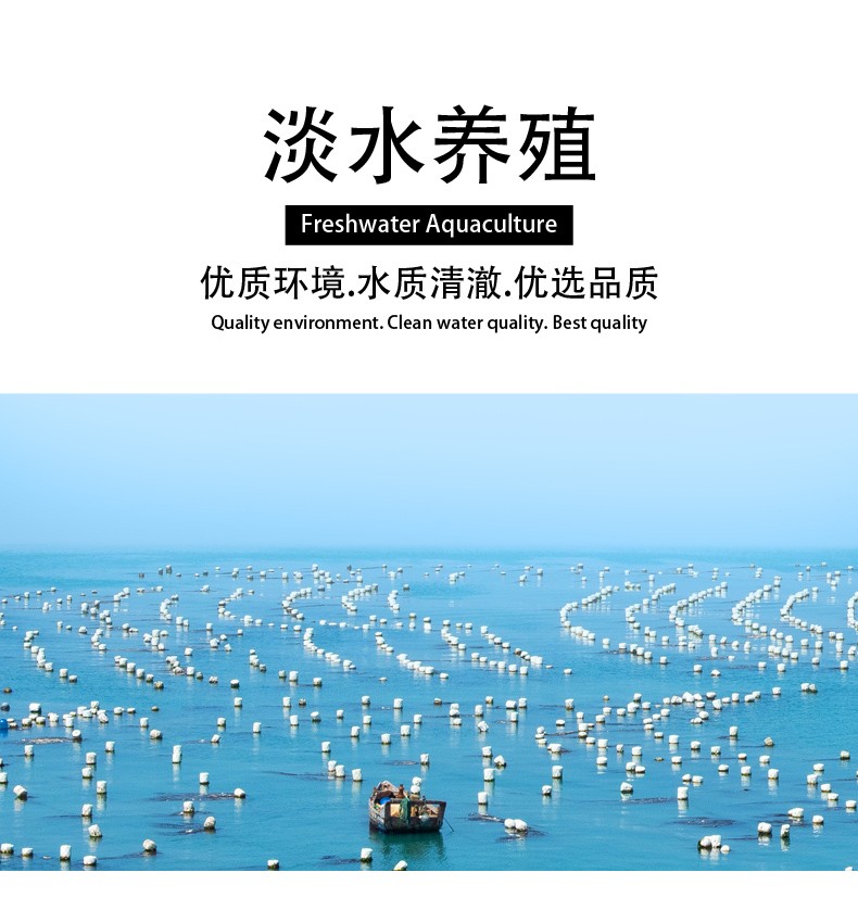 In 2020, The 14K Gold Injection Hand-Wound Natural Freshwater Pearl S925 Silver Needle full figure