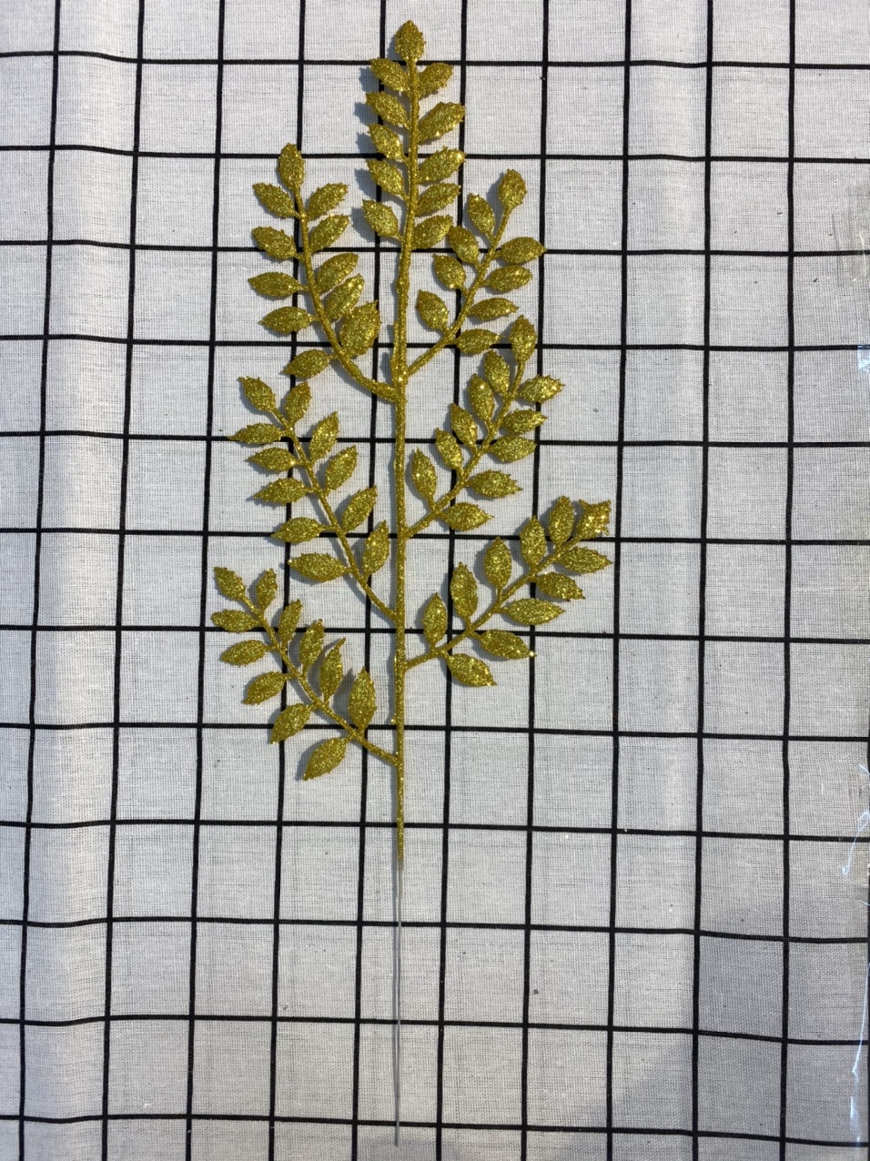 New melon seed leaves