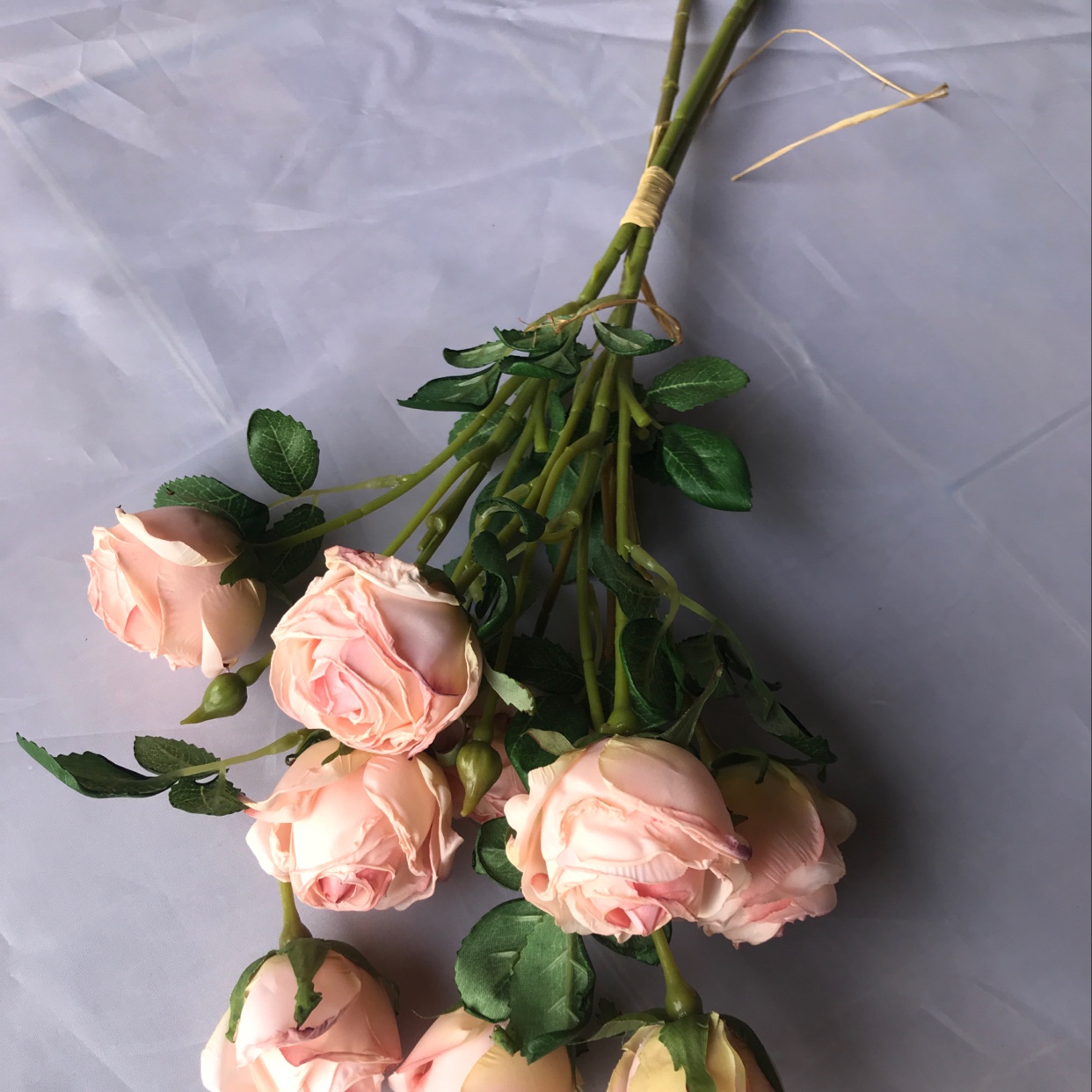 9 Xing new rose