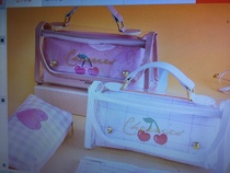 Clear pen case 1