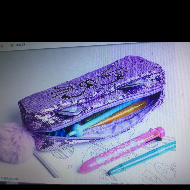 Glitter pen case 12