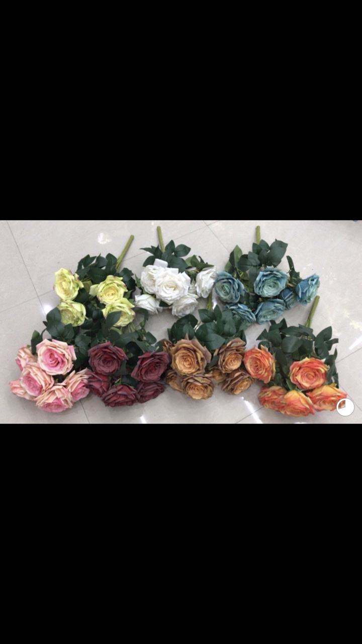 Seven large rose branches