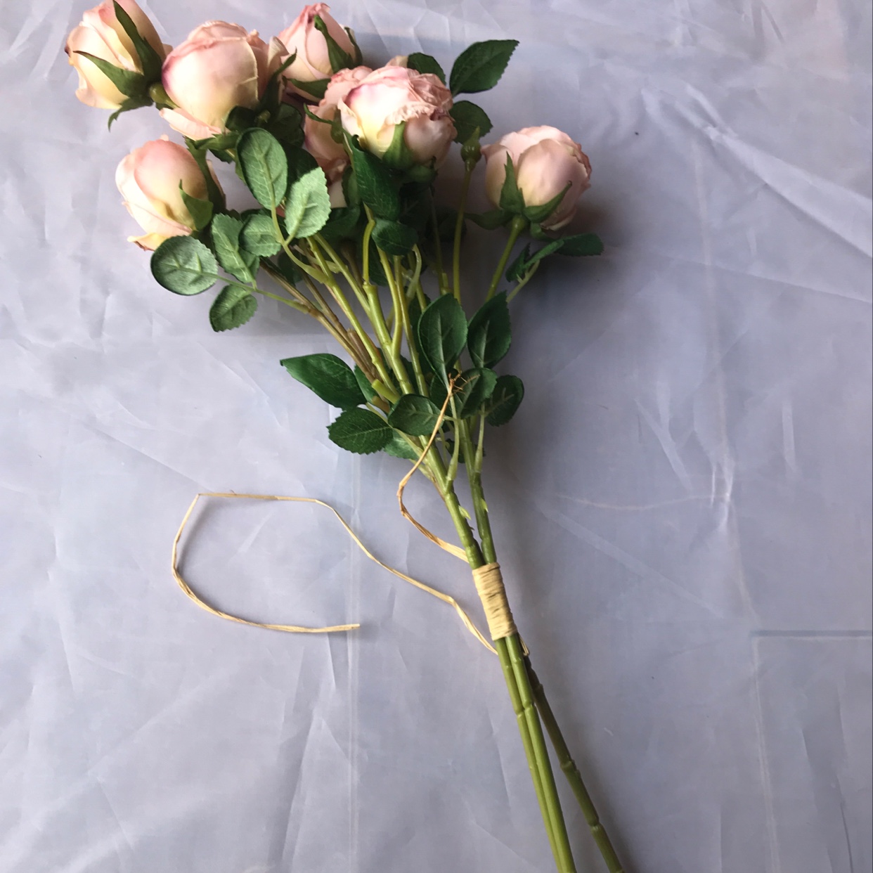 9 Xing new rose details Picture
