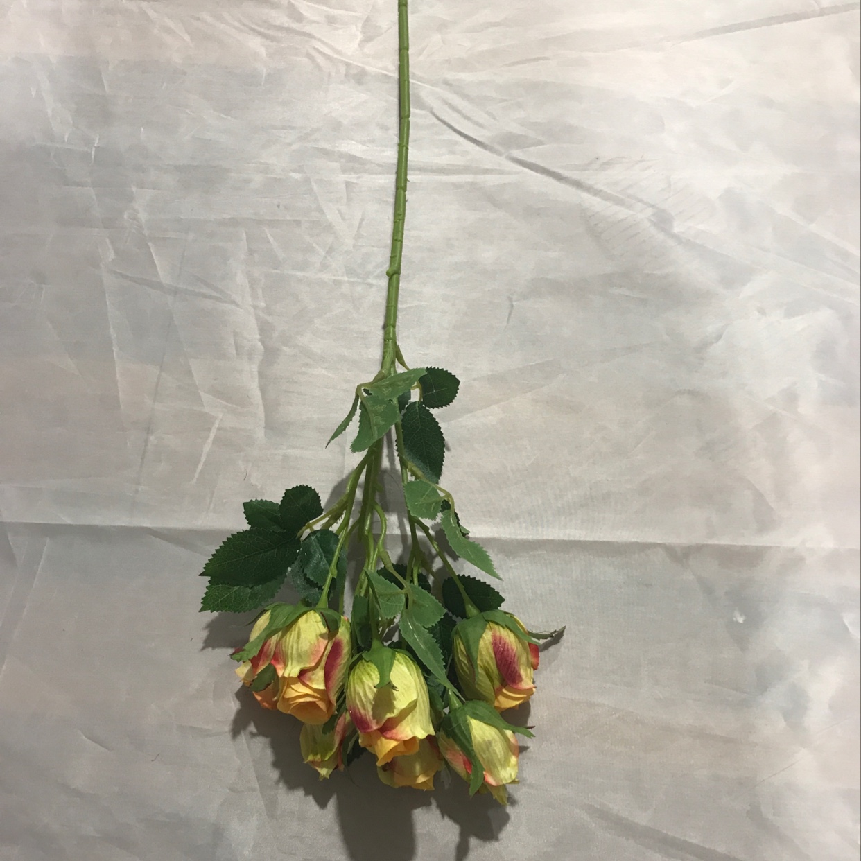 Seven mini roses