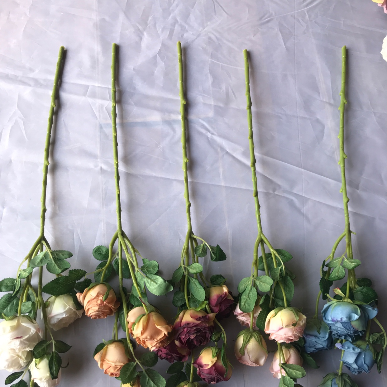 Five single roses details Picture