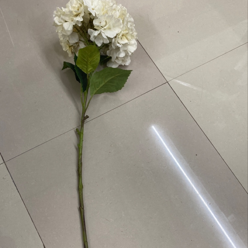绣球大单支