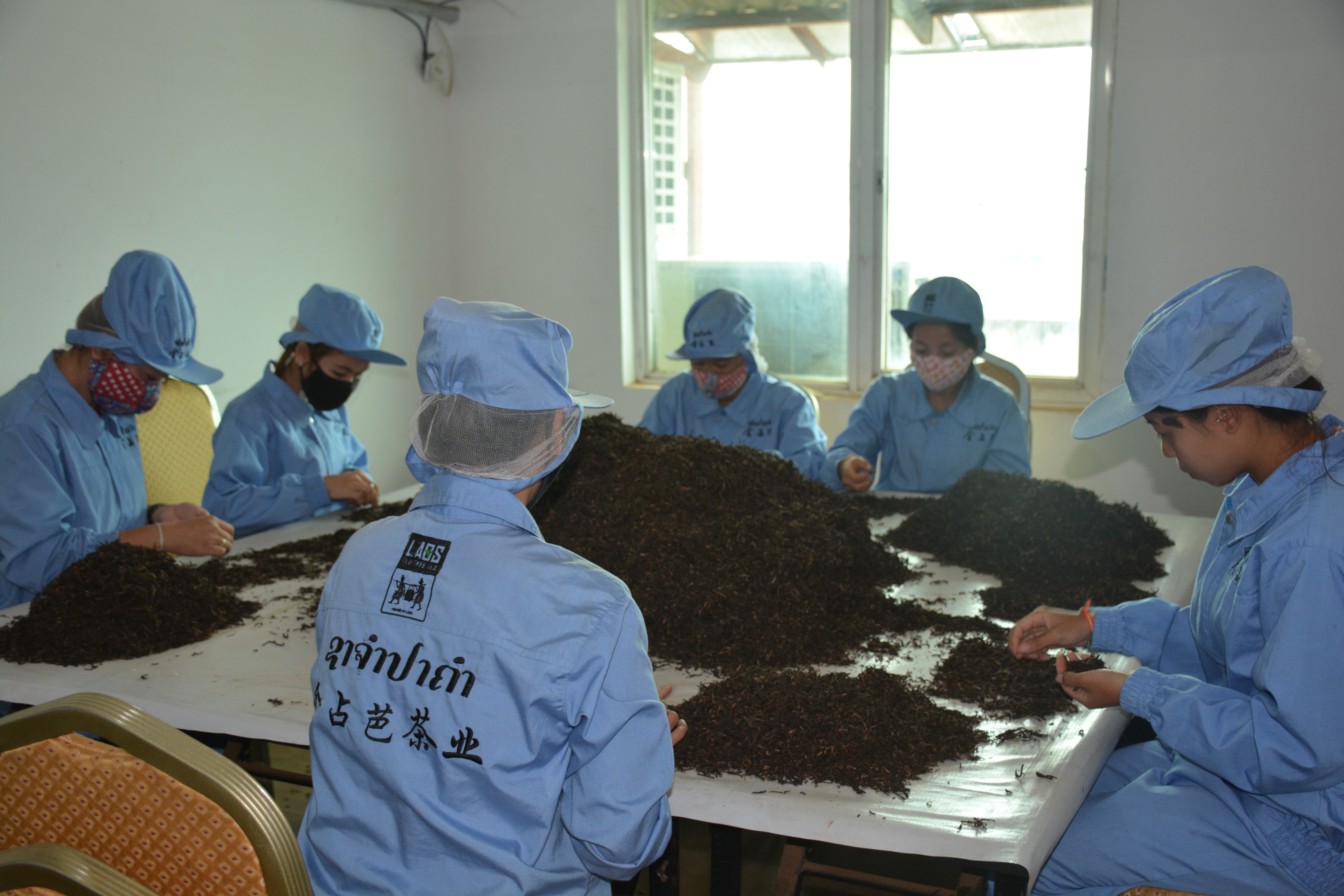 Simple packaging of Lao Jinchamba black tea 125g pic 5