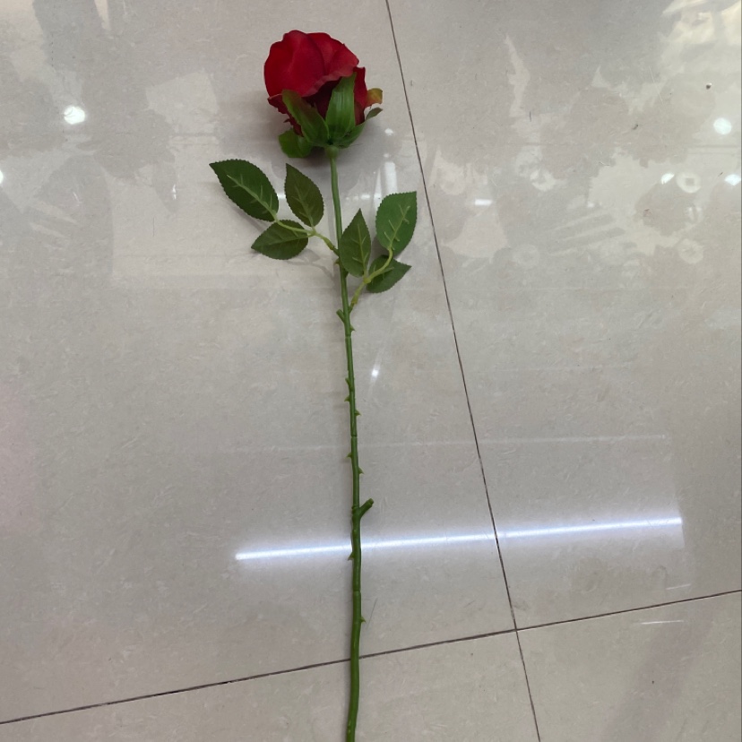 单支小玫瑰