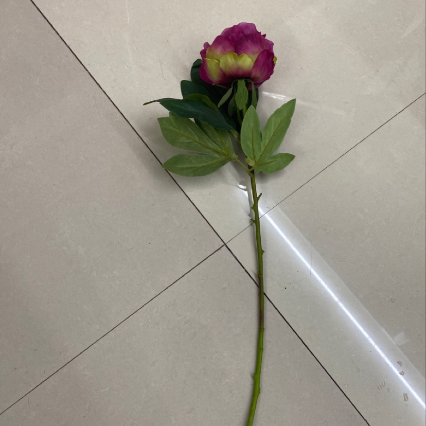单支情人牡丹