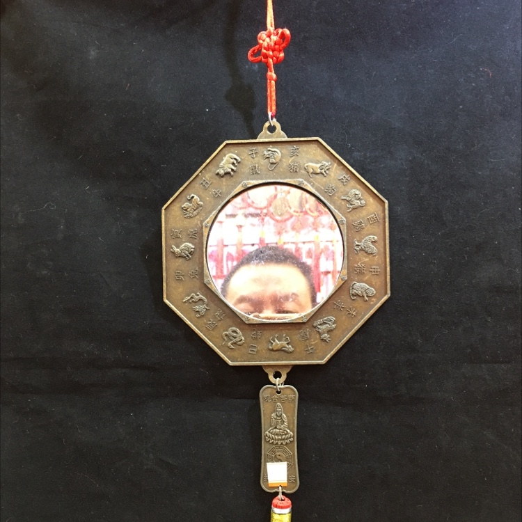 Old bug-head octagon 15