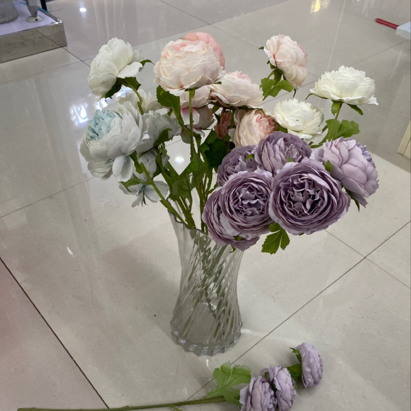 三头茶花