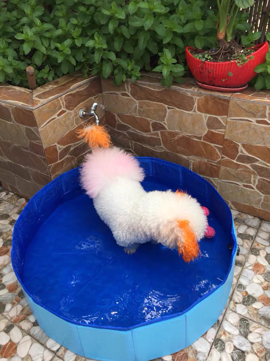 宠物洗澡盆狗狗水池80x20cm