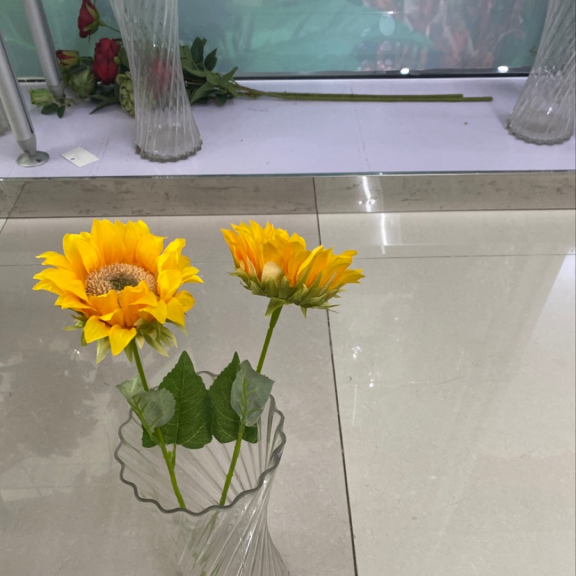 小单支太阳花