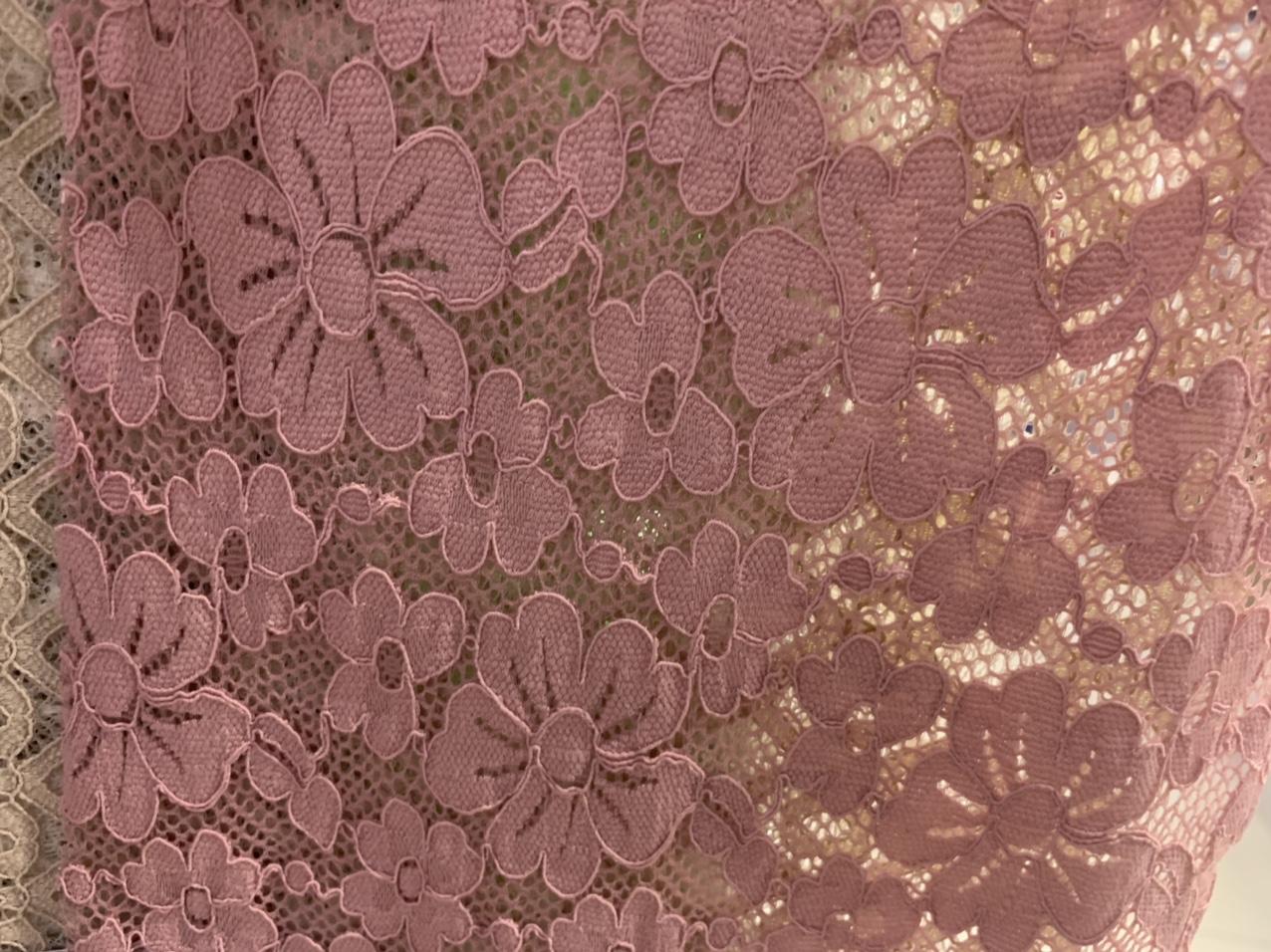 Lace Lace 40