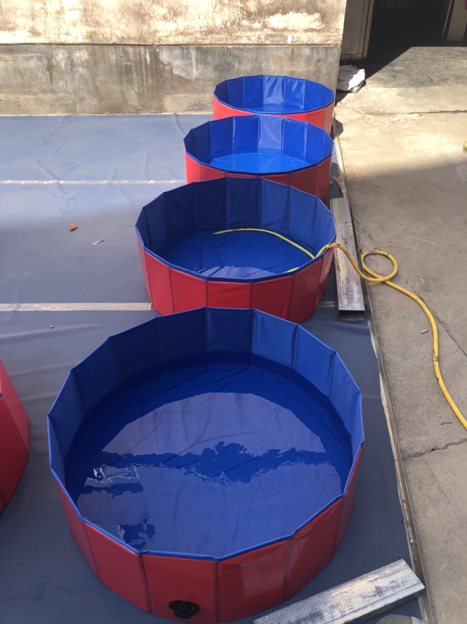 Dog pool Pet pool 160