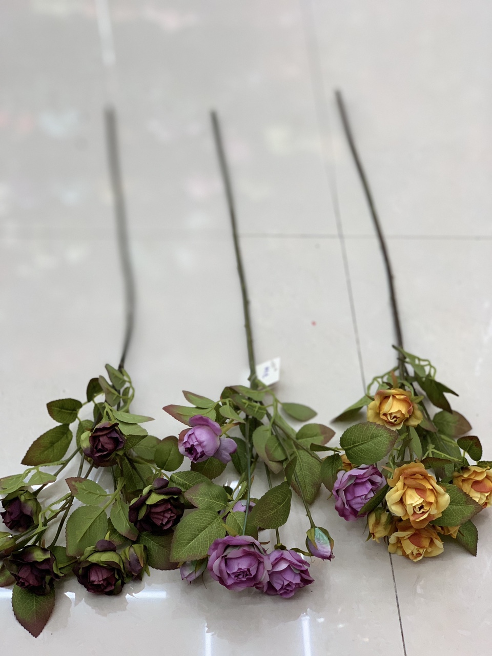 Autumn rolled rose