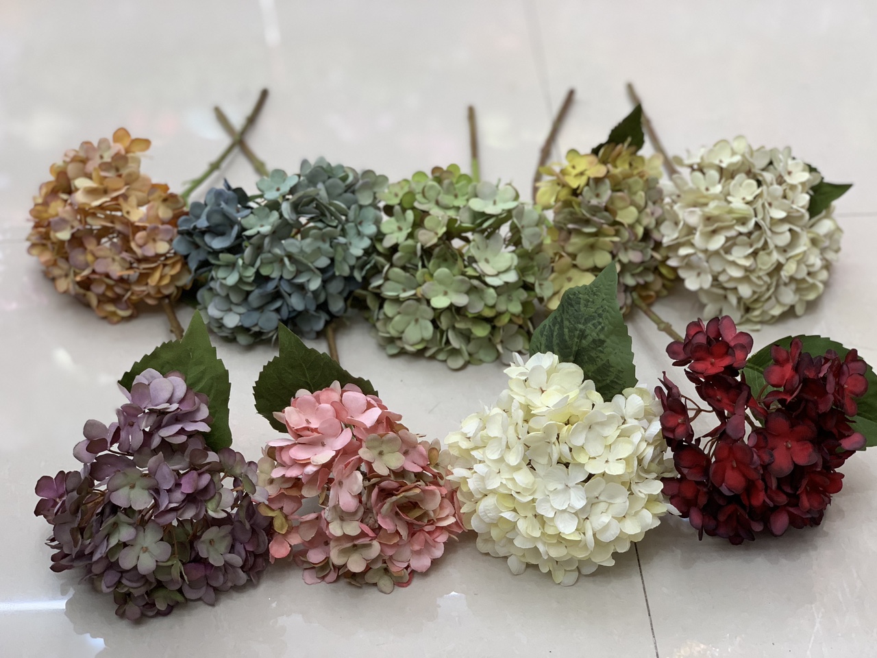 Autumn hydrangeas