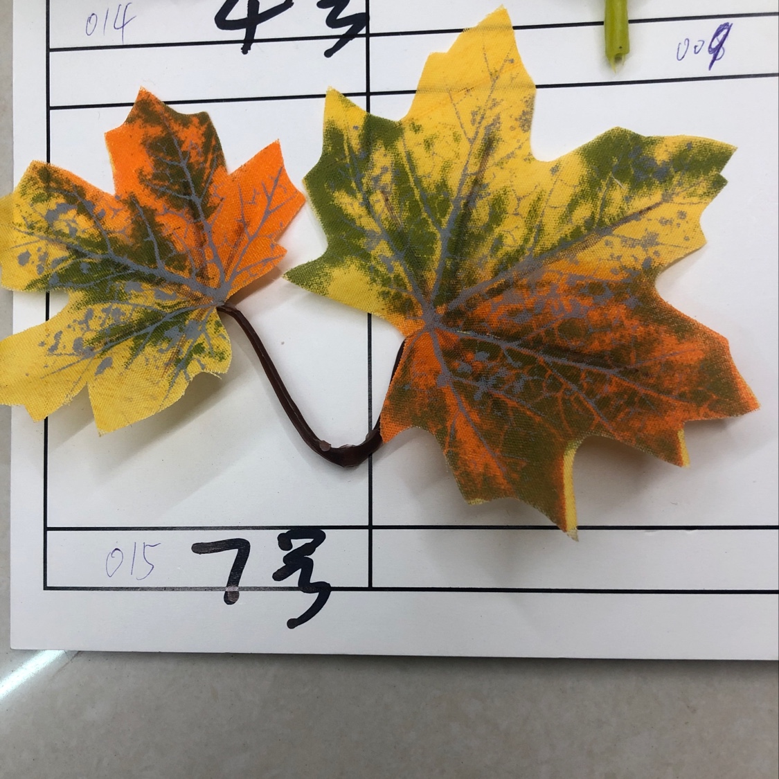 Maple Leaf No. 15 details Picture