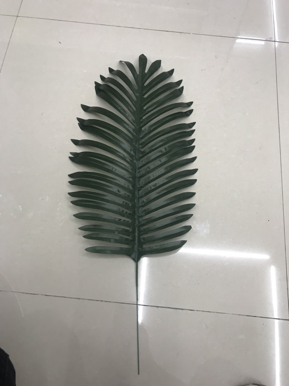 شقائق النعمان