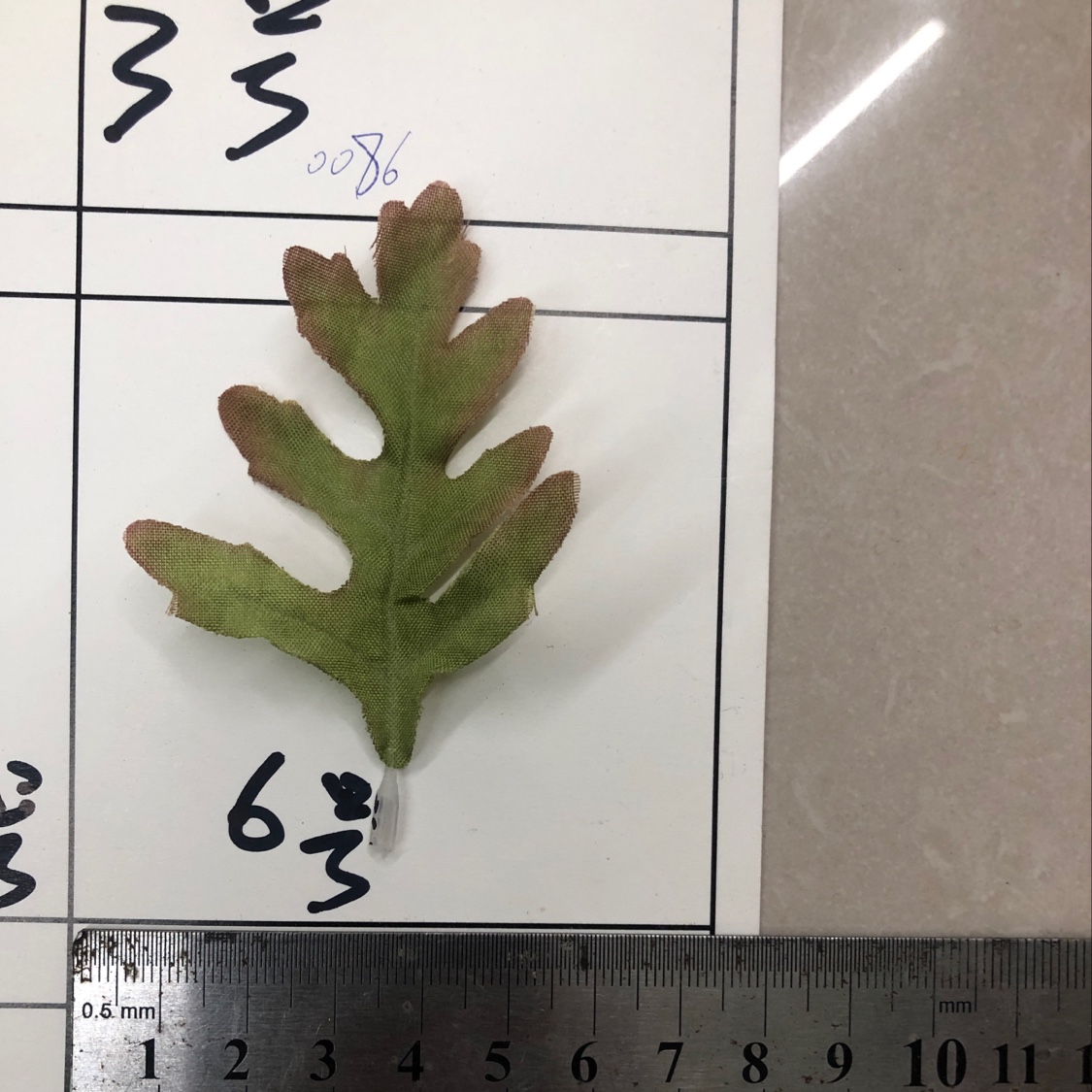 Single-leaf No. 6 details Picture