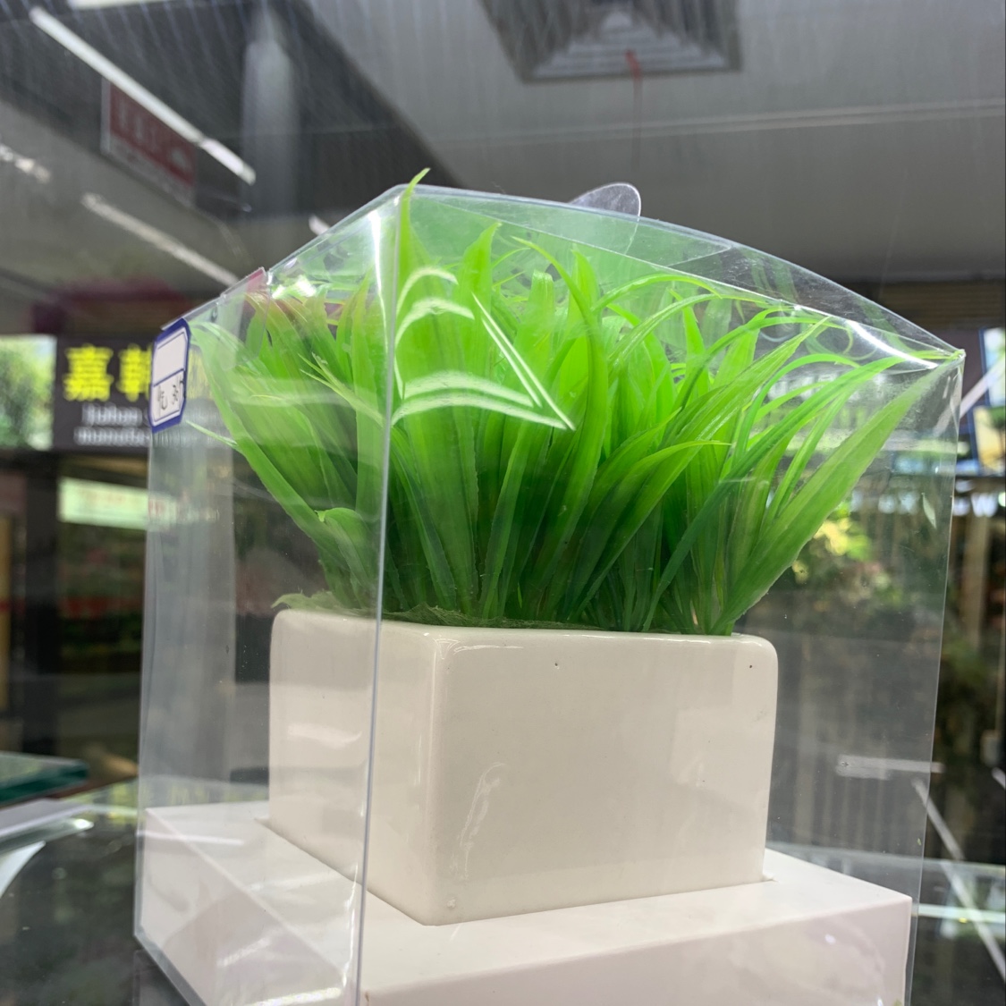 Fragrant grass