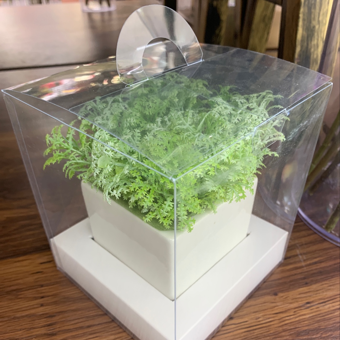Scented bonsai