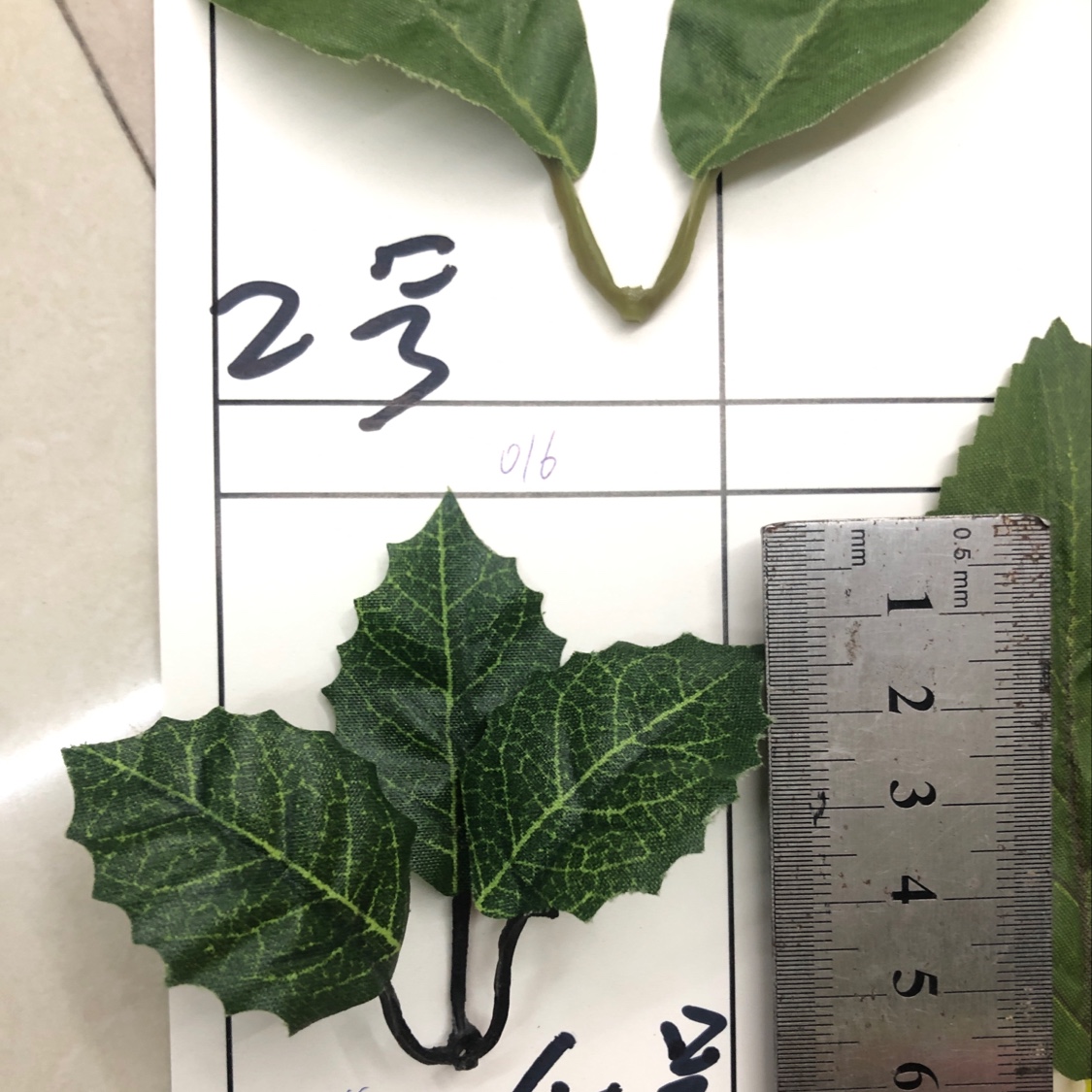 Three-leaf No. 4 details Picture