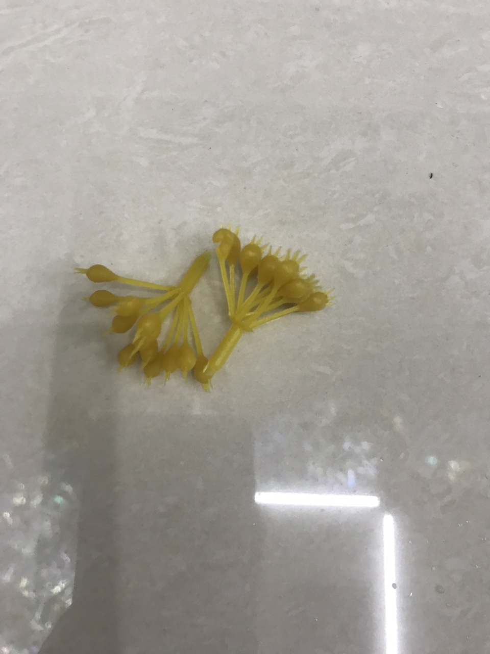 黄色中号圣诞花心