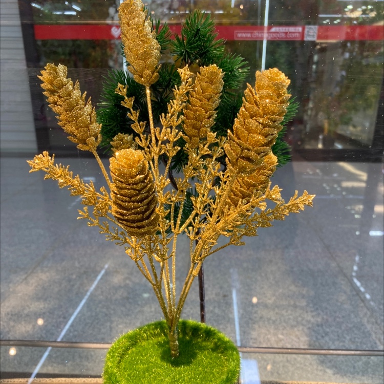 Seven long pinecones