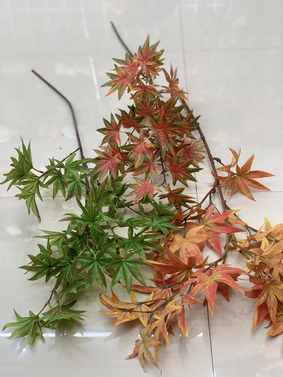 Maple leaf