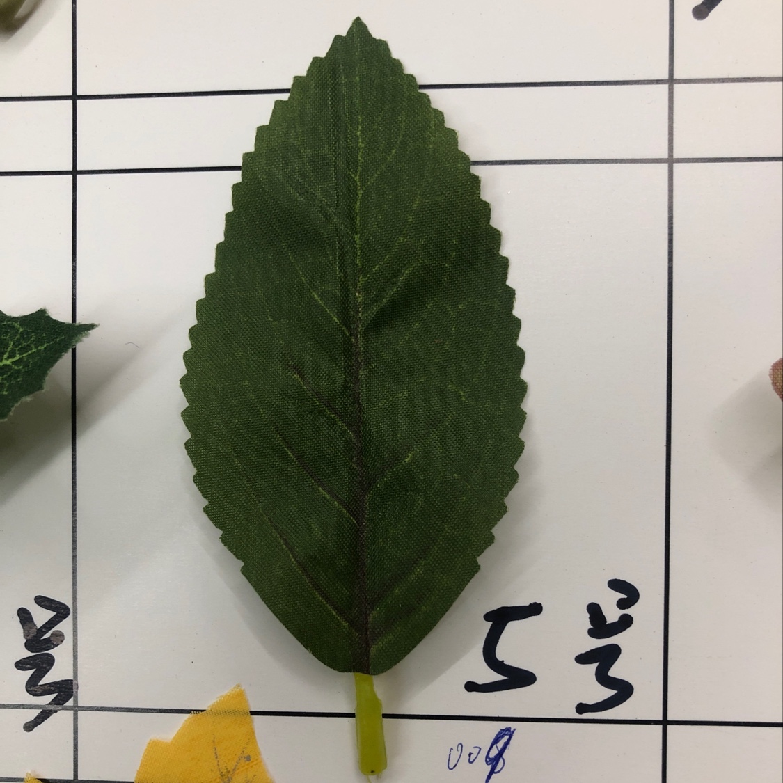 Single leaf No. 5 Specification image