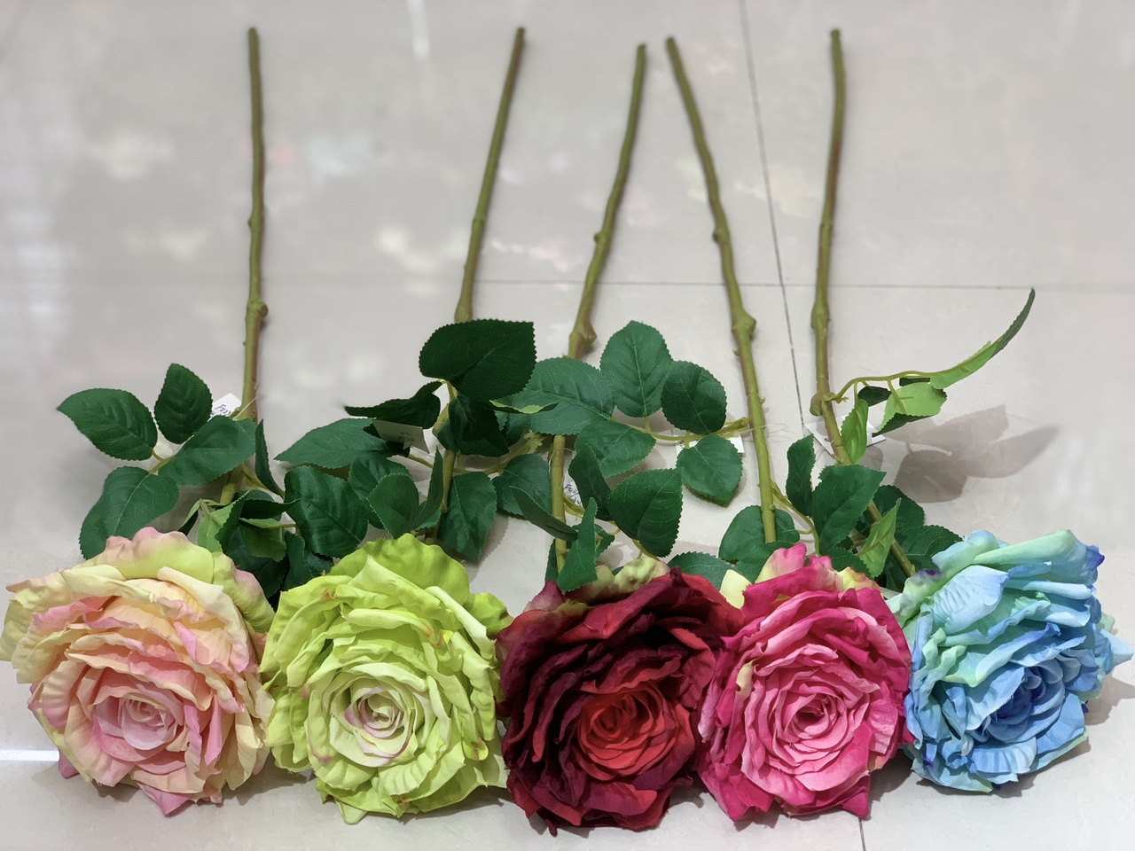 Super large rose