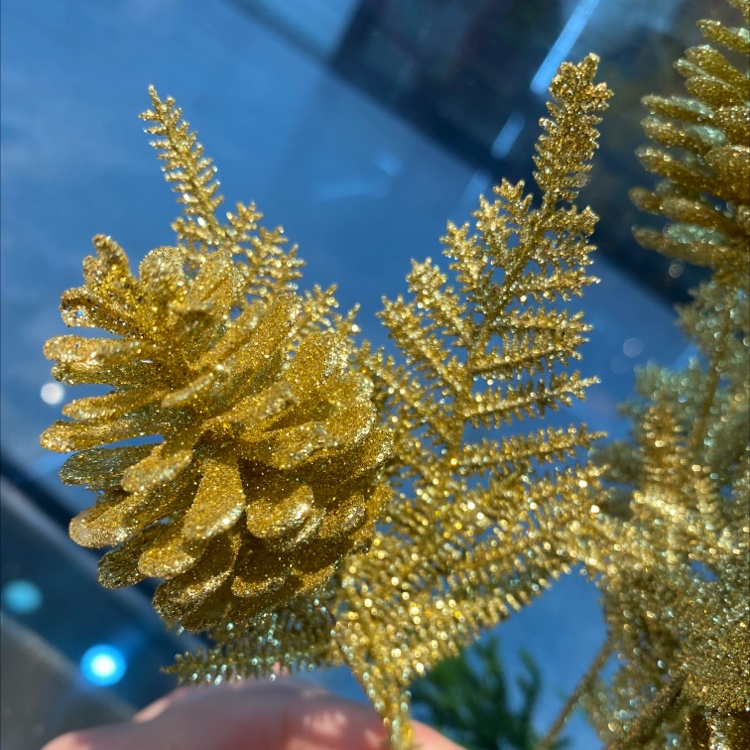 Seven pinecones detail image 1