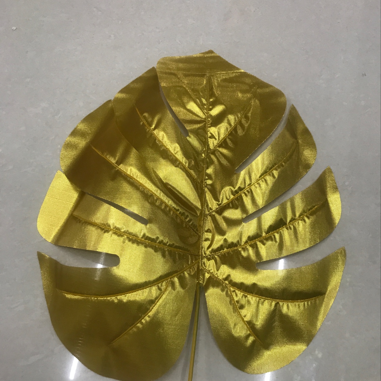 Large golden turtle shell leaves